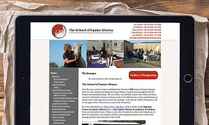 The School of Equine Shiatsu – teaching a comprehensive system of natural therapy.
